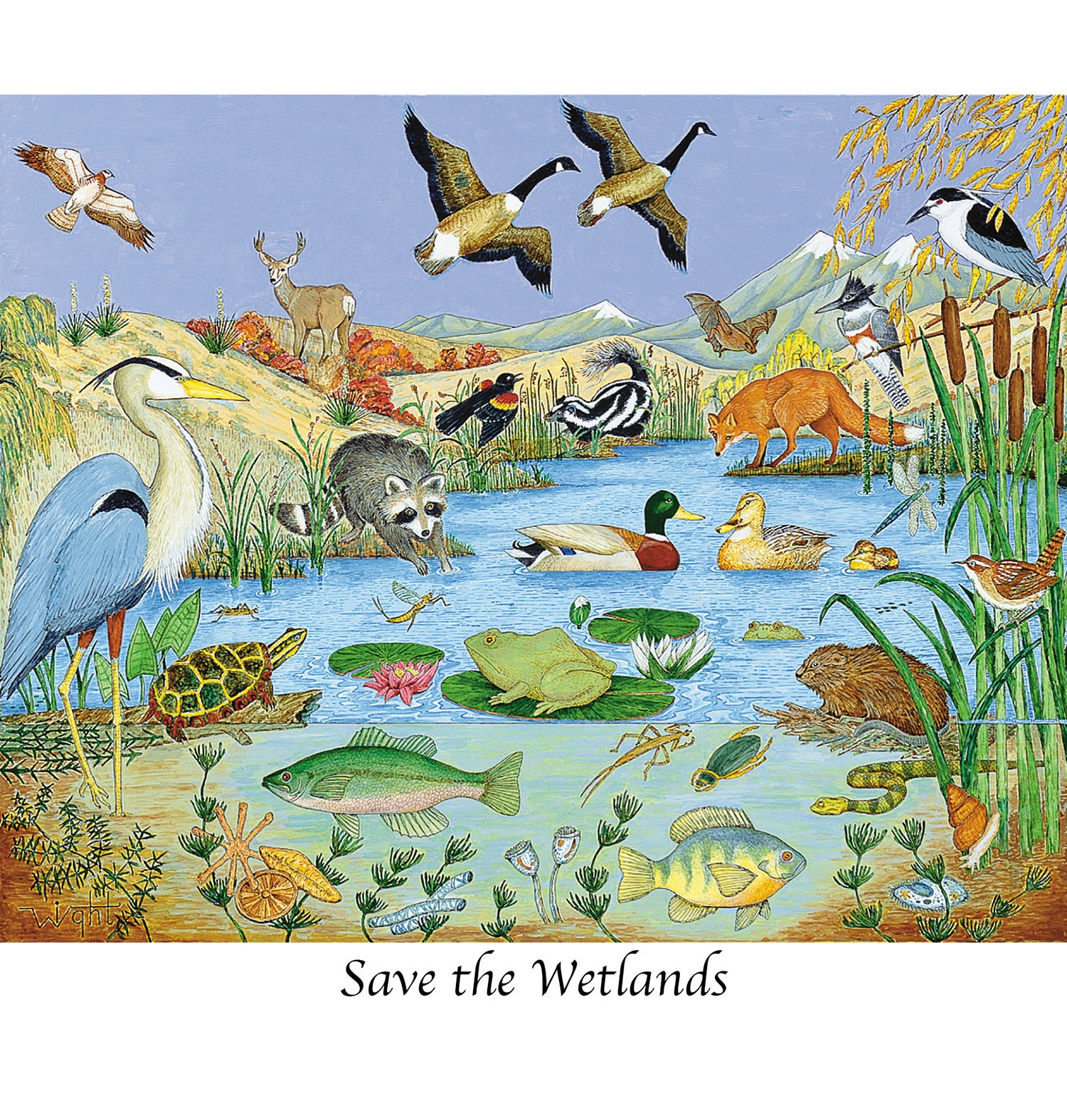 savewetlands-main.jpg?v=