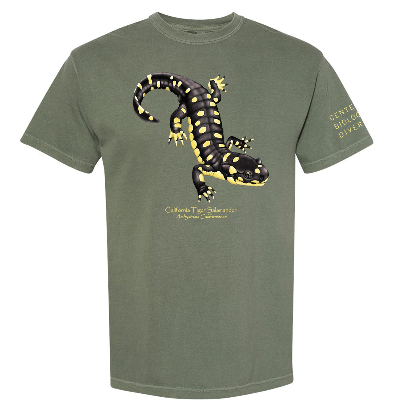Tiger Salamander - Center for Biological Diversity Collaboration