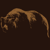 Bear Mountain Grizzly Bear Animal T Shirt from Jim Morris