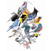 Sierra Birds