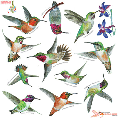 Hummingbird Bandana