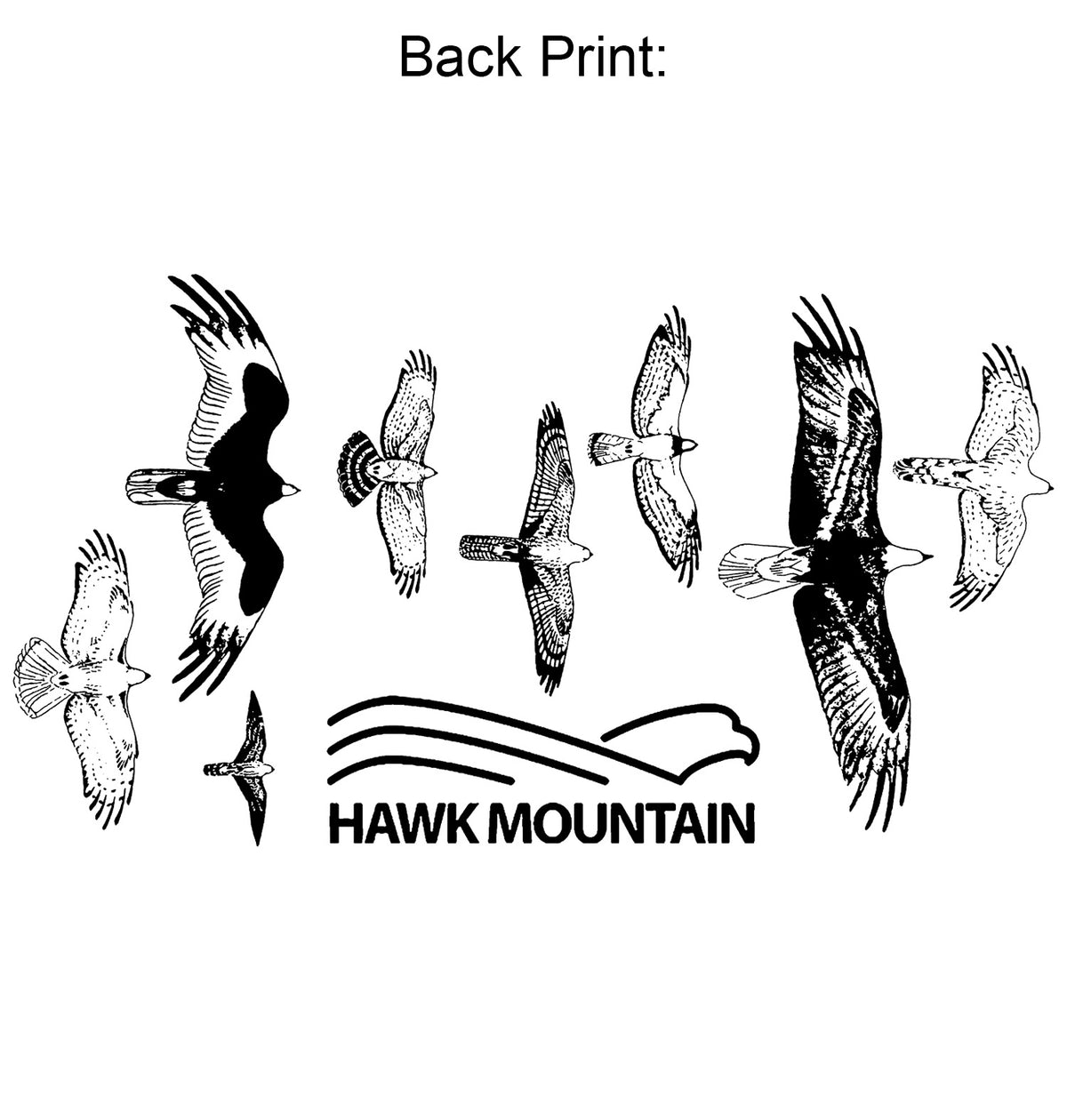 Hawk Mountain