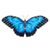 Blue Butterfly