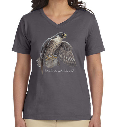 Peregrine Falcon