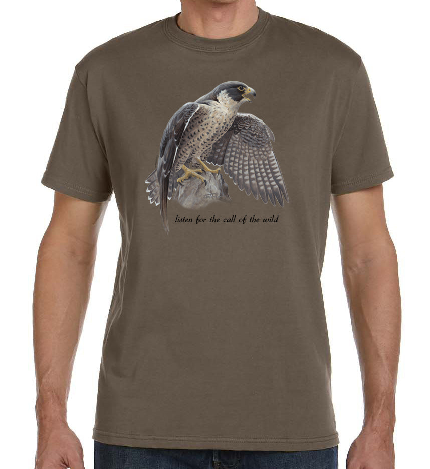 Peregrine Falcon