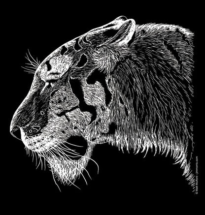 White Tiger by Matt Mulford
