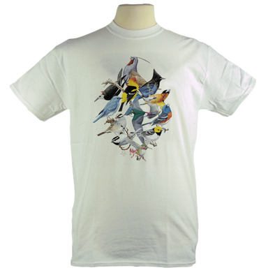 Sierra Birds