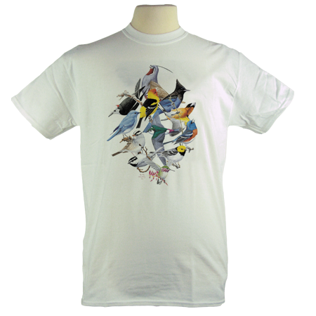 Sierra Birds