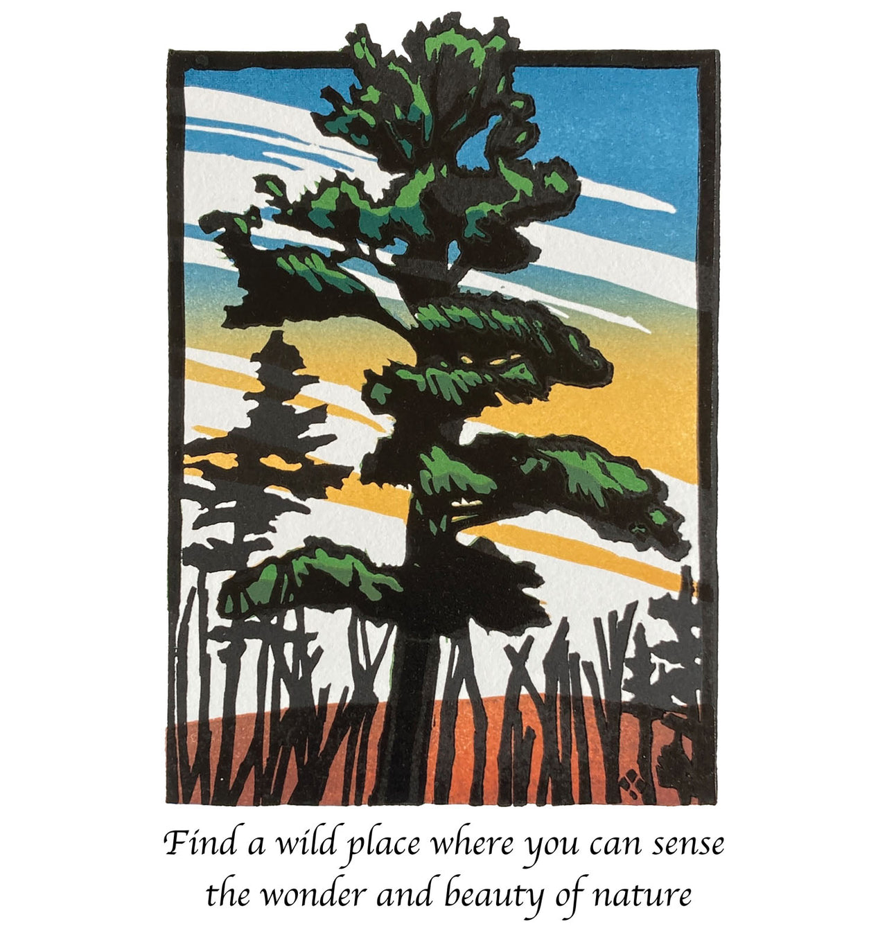 White Pine
